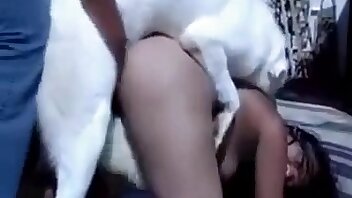Mi mujer folla con perros