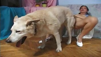 Se queda pegada a la polla de su perro bestialidad