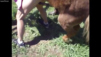 Mi mujer es follada por un poni real